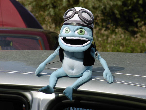 Bilder Dirk (51).jpg